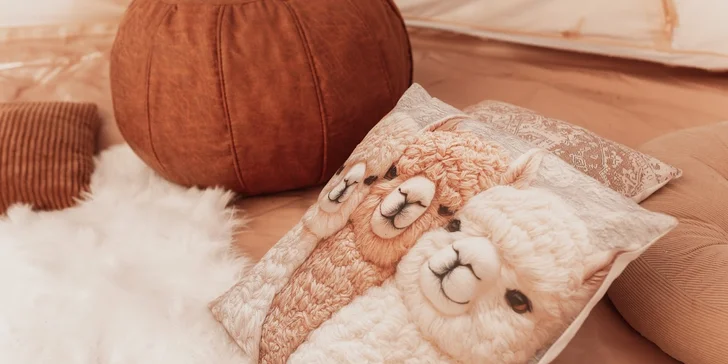 Krmení, hlazení a focení: hodinový pobyt s alpakami pro celou rodinu