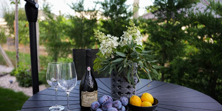 Relax na západě Slovenska: apartmánový domek se saunou a vířivkou v Šoporni