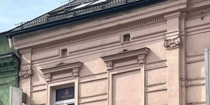 Masáž podle výběru v délce 30–90 min.: thajská, olejová, tradiční a další