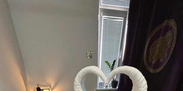 Masáž podle výběru v délce 30–90 min.: thajská, olejová, tradiční a další