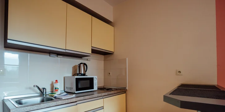 Rodinná studia a apartmány na Donovalech: 200 m od Donovalkova, výhled na Velkou Fatru