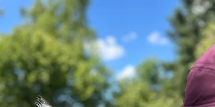 Krmení, hlazení a focení: hodinový pobyt s alpakami pro celou rodinu