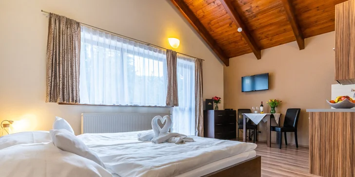 Relax v Donovalech: moderně vybavené apartmány se snídaní