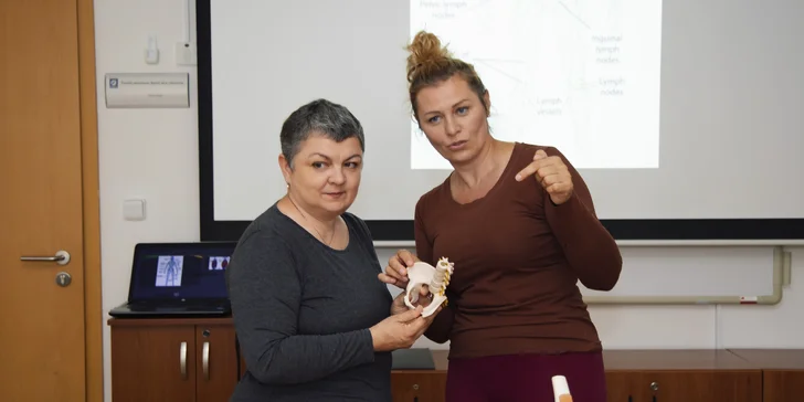 Kinezioterapie v praxi: Komplexní workshopy pro trvalou úlevu od bolesti a zlepšení pohybu