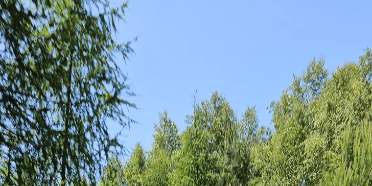 15 až 60 minut adrenalinu: jízda s instruktorem v Hummer H2