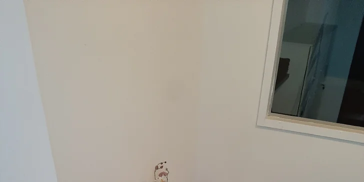 Boží relaxace: masáž zad a šíje, reflexní terapie, lávové kameny, zábal a omlazení