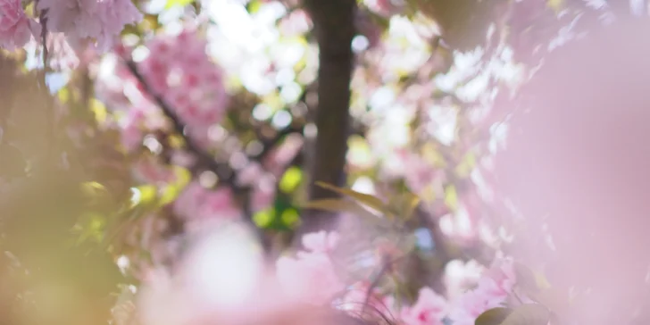 Portrétové, rodinné či párové focení v interiéru nebo exteriéru