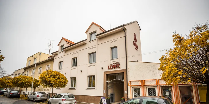 Wellness Hotel LÖWE **** - wellness