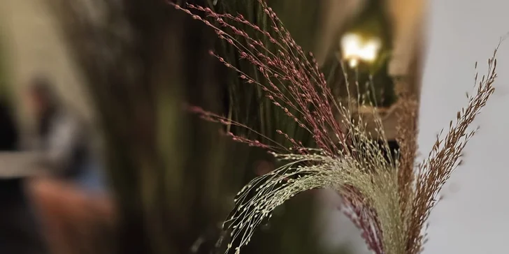 Otevřený voucher na jídlo i nápoje v nové kavárně RestArt Cafe: 500 Kč