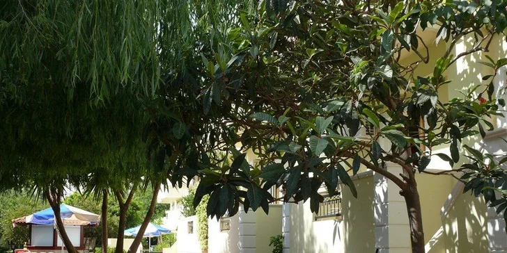 Dovolená na Krétě: 3* studia Sofia 50 m od pláže, bazén i zpáteční letenky