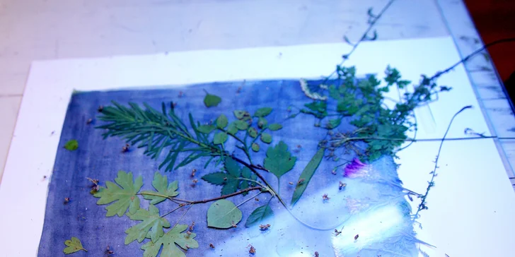 Objevte magii kyanotypie: 3hodinový workshop modrotisku pro 1 nebo 2 osoby