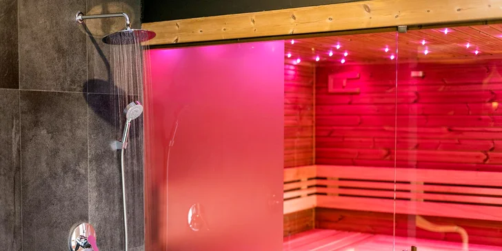 Vstup do privátního wellness i vč. 4chodového menu v restauraci či iglú