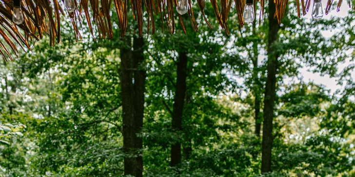 Domečky na stromě s výhledem na hrad Krásna Hôrka a snídaní z piknikového košíku servírovanou na terase