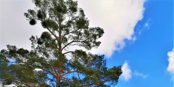 Pohodový pobyt se snídaněmi či polopenzí ve středním Povltaví