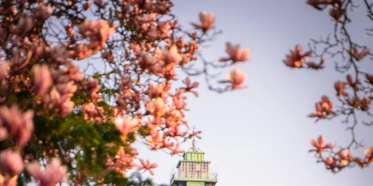 Poznejte Ostravu: prohlídka historického centra i oblasti Dolních Vítkovic vč. vstupenky na Bolt Tower pro 1 až 6 osob