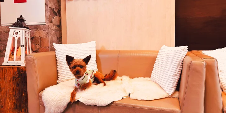 Stylové apartmány na Štrbském Plese vč. snídaně a privátního wellness