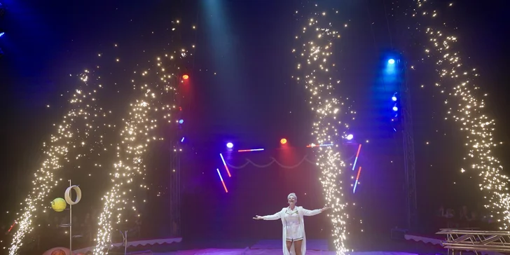 Vstup na představení Cirkusu Prince v Teplicích pro dospělého nebo dítě