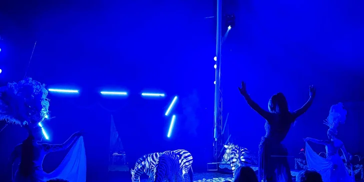 Vstup na představení Cirkusu Prince v Teplicích pro dospělého nebo dítě