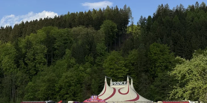 Vstup na představení Cirkusu Prince v Teplicích pro dospělého nebo dítě
