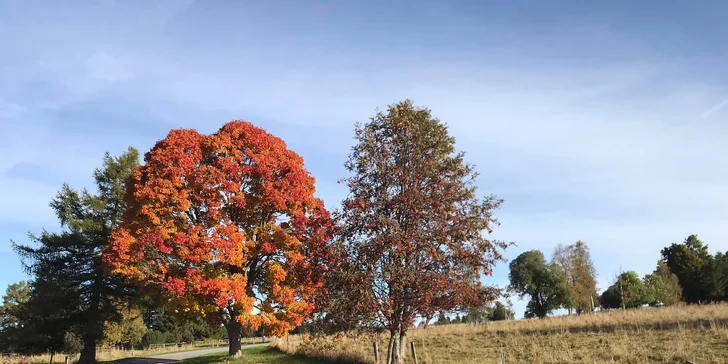 Rodinný hotel na Horské Kvildě: snídaně a sauna pro pár i rodinu
