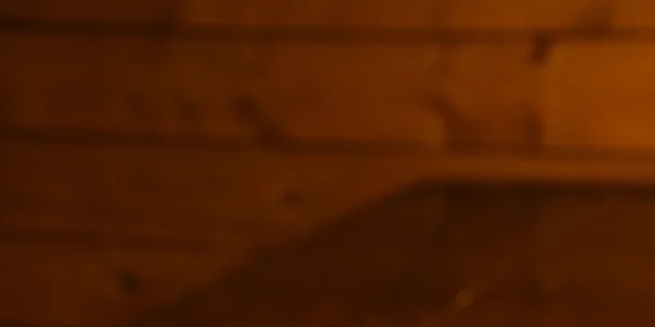 Pečená vepřová BBQ žebra nebo koleno s přílohami a chlebem