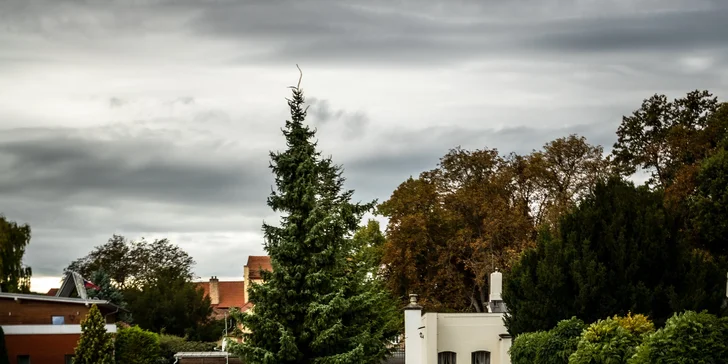 Zpátky do historie: zapůjčení Trabanta na 3 hod. a model Trabanta na památku