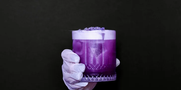 Masterclass přípravy tří koktejlů s barmanem nebo degustace šesti pálenek i s občerstvením