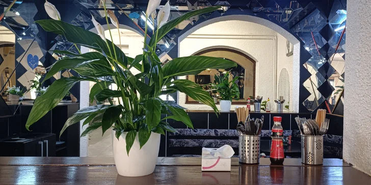 Sushi sety dle výběru v nově otevřené fusion restauraci: 24 až 50 maki a nigiri