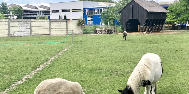 Wellness a spa pobyt v hotelu Therma****: neomezené bazény, sauny i saunové rituály