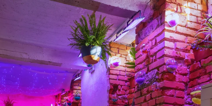 60min. sportovní masáže s baňkami nebo 90min. relaxační s použitím techniky Reiky