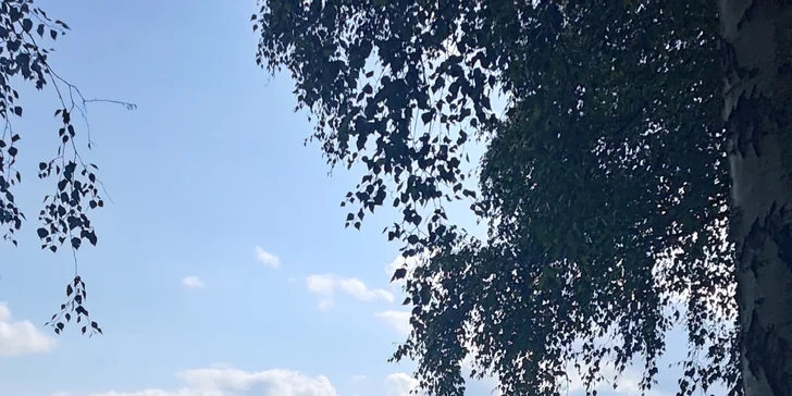 Zážitková plavba na plachetnici pro 1 nebo 2 osoby po Žermanické přehradě