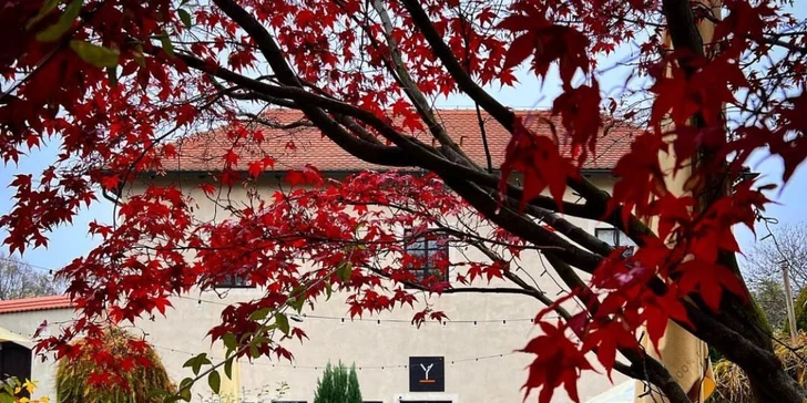 Vyrazte za dobrotou: dezert a nápoj pro 1 či 2 osoby v Bystro Cafe