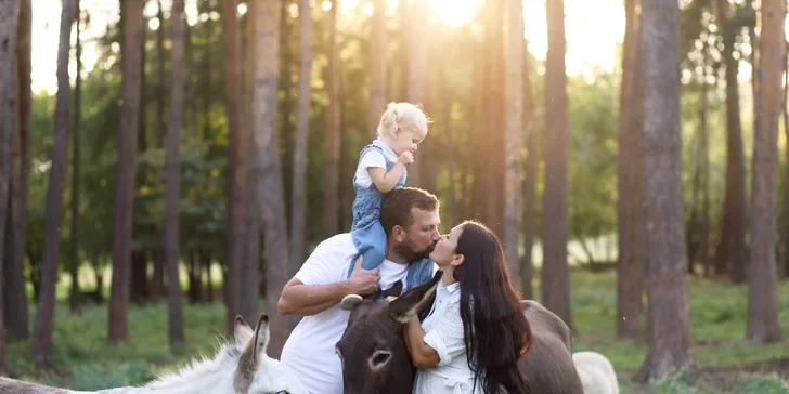 Staňte se na den farmářem: prohlídka farmy, krmení zvířat i dojení krav, 5 hodin