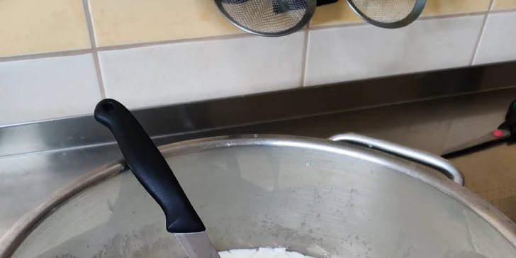 Poznejte cestu mléka a staňte se na den sýrařem: od dojení až k výrobě sýra, pro 1–4 osoby