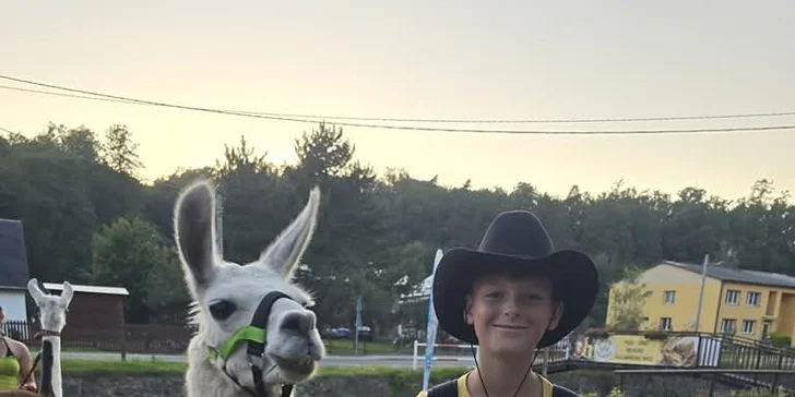 Procházka s lamou k zámku Dívčí Hrad: hodinový zážitek pro 2-4 osoby