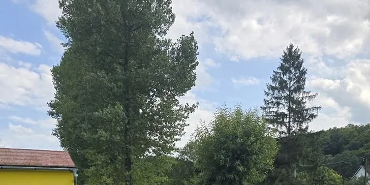 Procházka s lamou k zámku Dívčí Hrad: hodinový zážitek pro 2-4 osoby