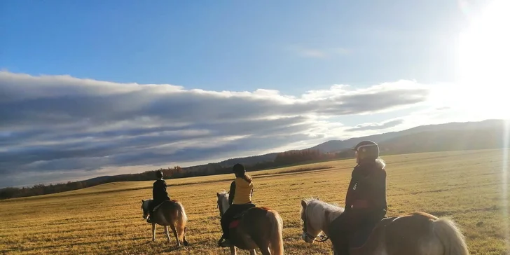 Staňte se na den farmářem: prohlídka farmy, krmení zvířat i dojení krav, 5 hodin