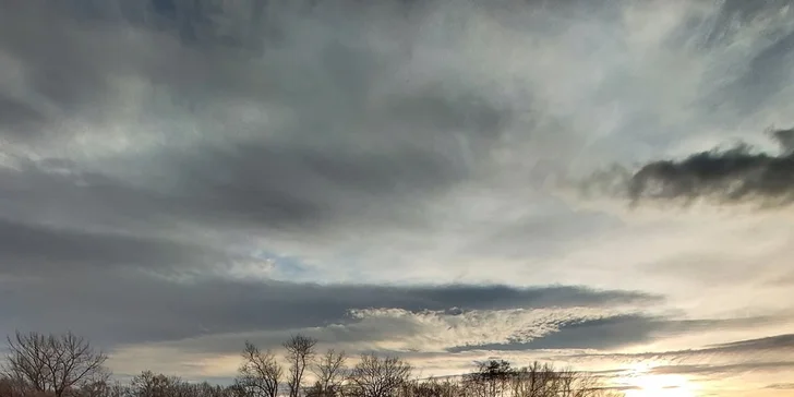 Staňte se na den farmářem: prohlídka farmy, krmení zvířat i dojení krav, 5 hodin