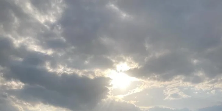 Staňte se na den farmářem: prohlídka farmy, krmení zvířat i dojení krav, 5 hodin