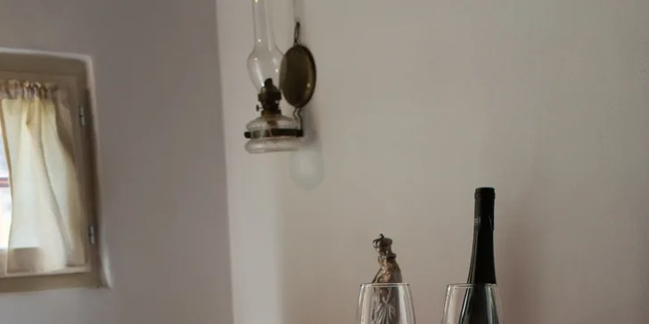 Zážitkové oblékání do slováckého kroje i s vínem pro 1 nebo 2 dámy