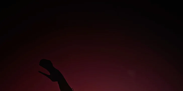 Zažijte pole dance a staňte se hvězdou: příprava na focení, soukromá lekce nebo kurz včetně natáčení