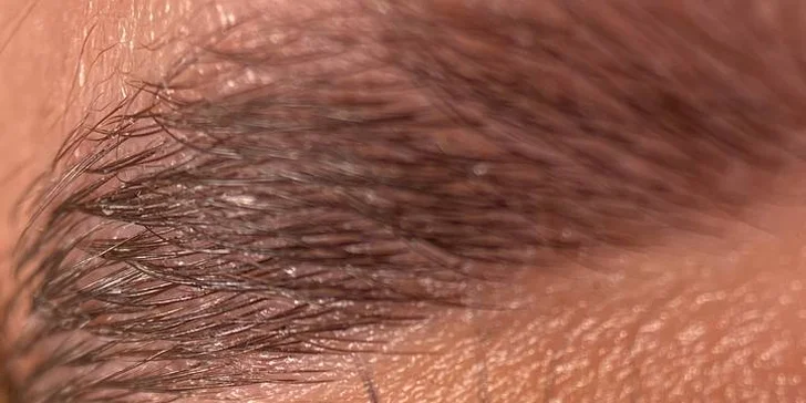 Kouzelný pohled: Úprava a laminace obočí i lash lifting vč. barvení