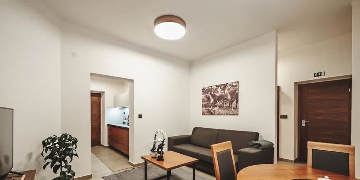 Krásné apartmány jen 800 m od zámku v Hluboké se snídaní i wellness
