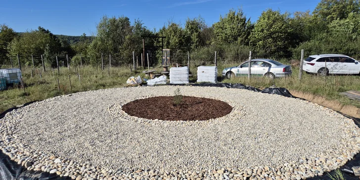 Komentovaná prohlídka sekvojového lesoparku: evropský unikát kousek od Brna