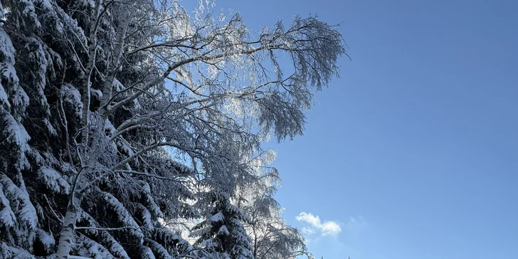 Dovolená v Krkonoších nedaleko Špindlu se stravou, bazénem i zázemím pro děti