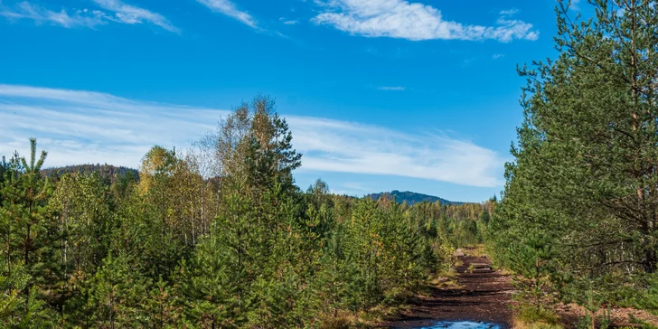 Vybavené apartmány až pro 6 osob v blízkosti NP Šumava i hodina bowlingu