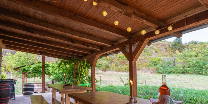 Zažijte slovenské Toskánsko: domeček uprostřed vinic v blízkosti Tokaje až pro 4 osoby