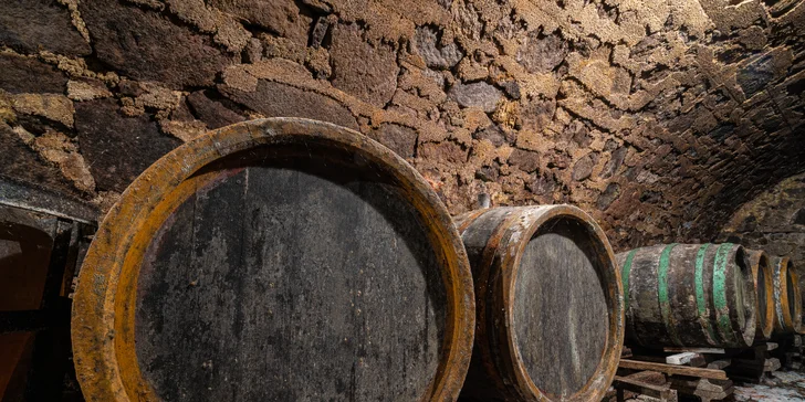 Zažijte slovenské Toskánsko: domeček uprostřed vinic v blízkosti Tokaje až pro 4 osoby