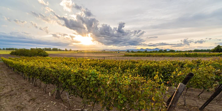 Zažijte slovenské Toskánsko: domeček uprostřed vinic v blízkosti Tokaje až pro 4 osoby
