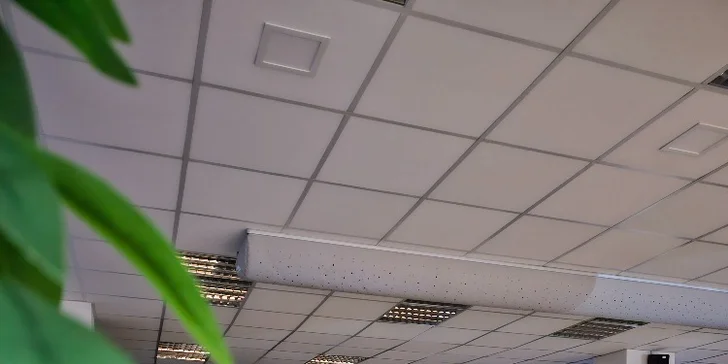 Hodina bowlingu a žebra nebo koleno s přílohami až pro 6 osob